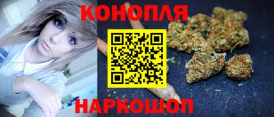 гидропоника Будённовск
